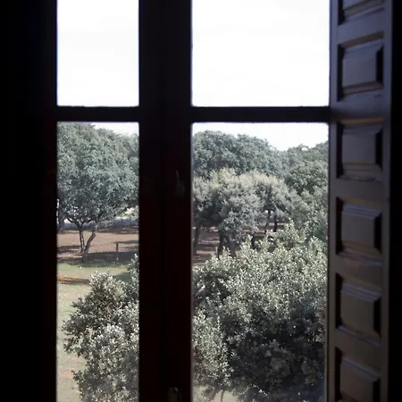 La Rad Galindo Y Perahuy