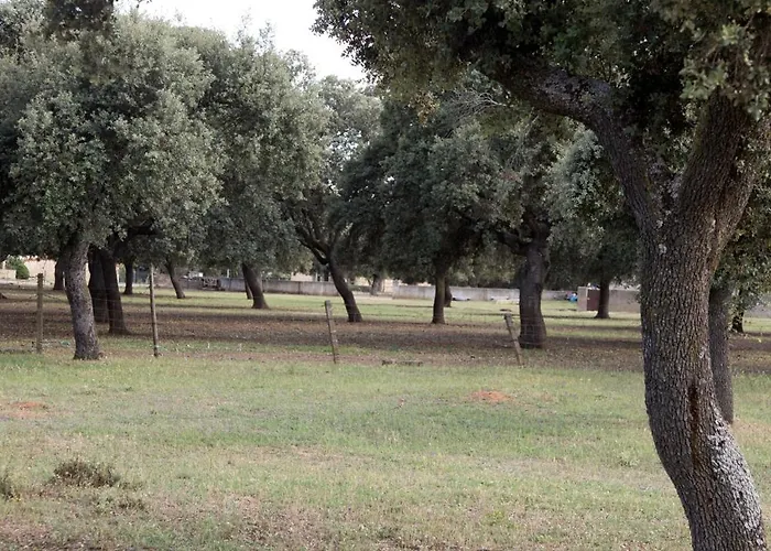 La Rad Hotell Galindo Y Perahuy