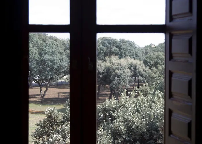 拉德酒店 加林多伊佩瑞霍伊